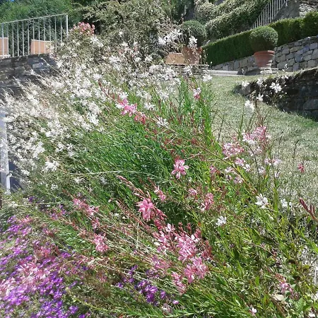 Holiday home Migliorati *