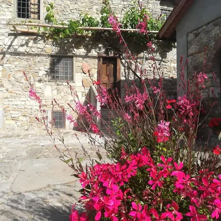 Migliorati